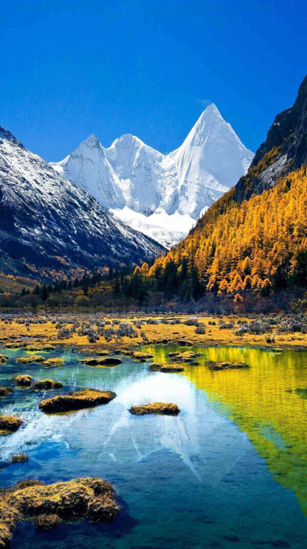 壮观的高原雪山风景图