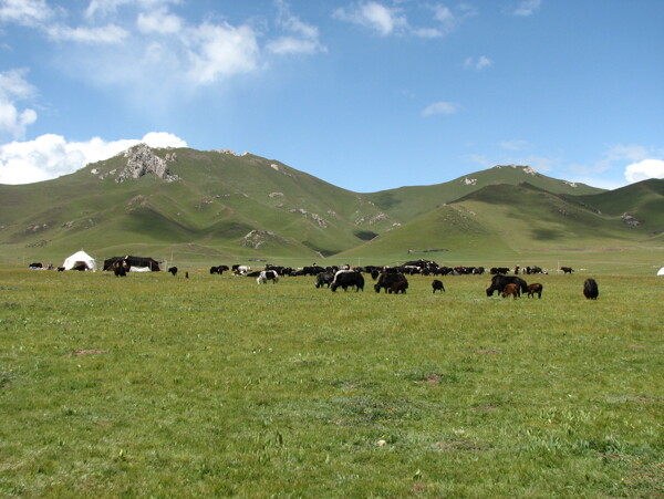 藏族藏民高原风光风光图片