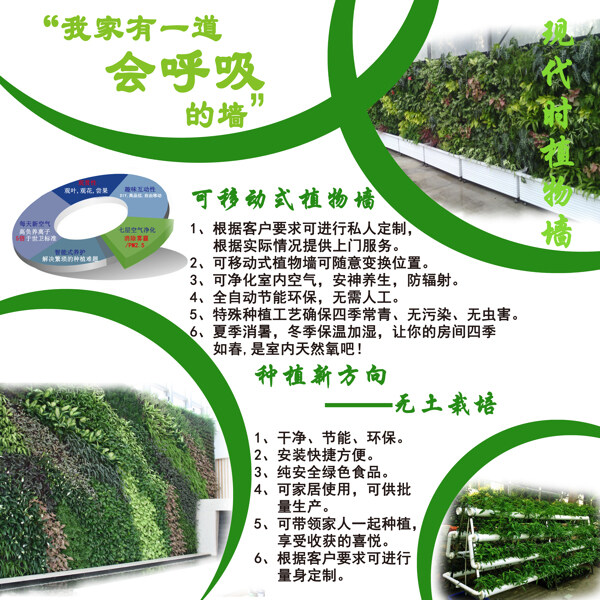 植物墙厂家直销绿墙生态墙素材样式多