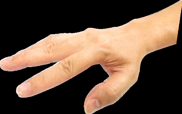 高清背景透明指静脉验证手指
