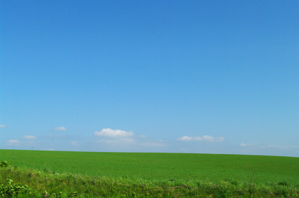 蓝天白云草原