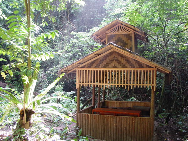 莫里热带雨林景区之小竹屋图片