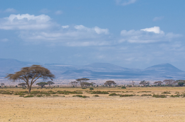 非洲大草原风光图片
