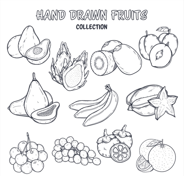 手绘线稿水果