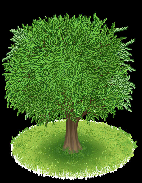 写实风格绿色大树免抠png透明图层素材