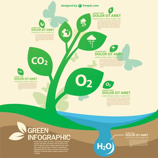 绿色生态的信息图表