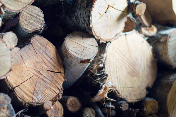 木头木材背景图片