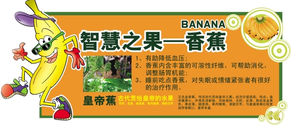 香蕉知识介绍