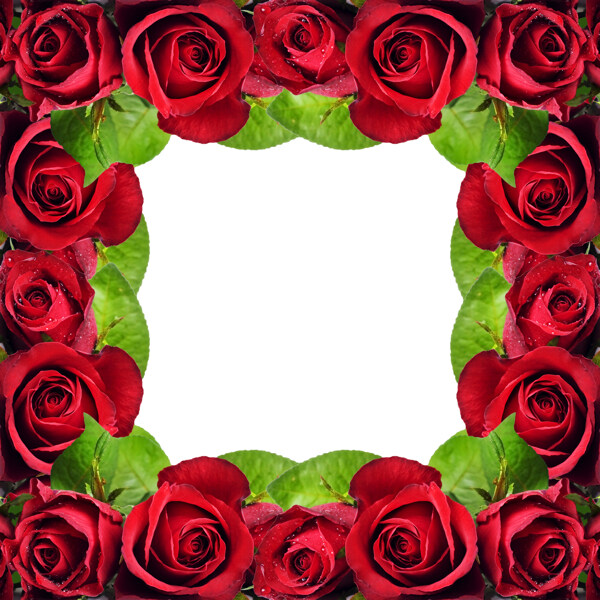 玫瑰花边框素材图片