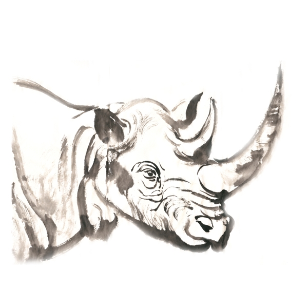 犀牛的头部水墨画PNG免抠素材