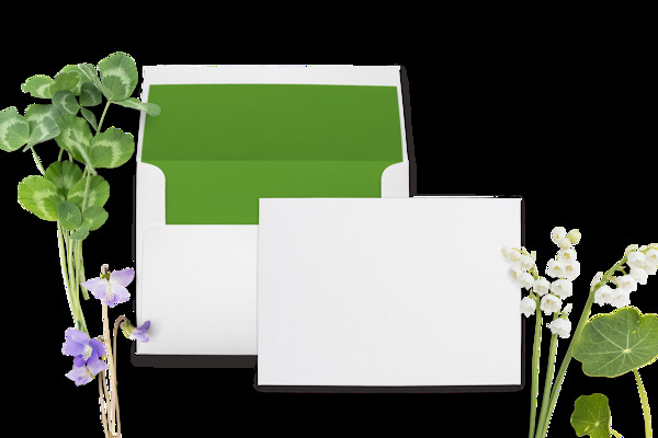绿色叶子和白板png元素素材