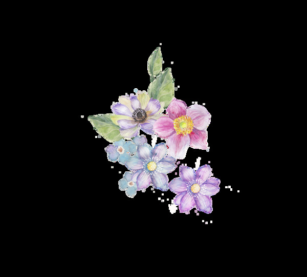 四色花朵透明装饰素材