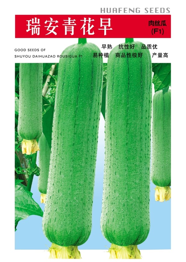 丝瓜种子包装图片