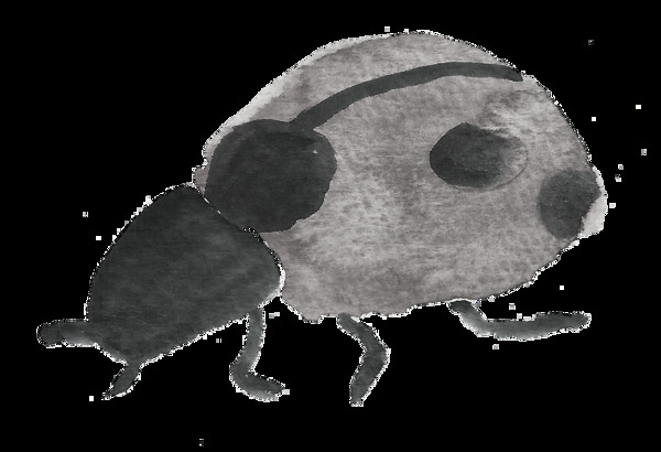 黑色甲虫卡通透明素材
