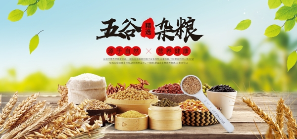 五谷杂粮电商食品海报banner