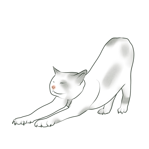 伸懒腰的猫手绘水彩