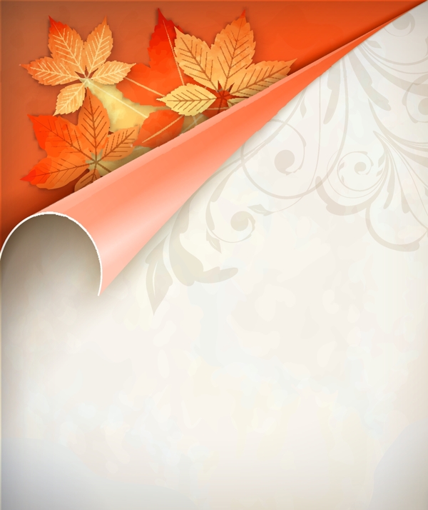 秋天元素海报背景图片