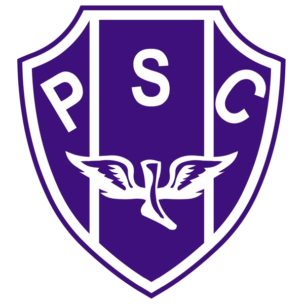 蓝色PSC创意logo设计