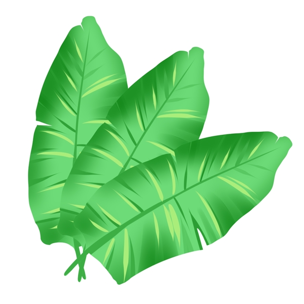 卡通热带植物叶子插图