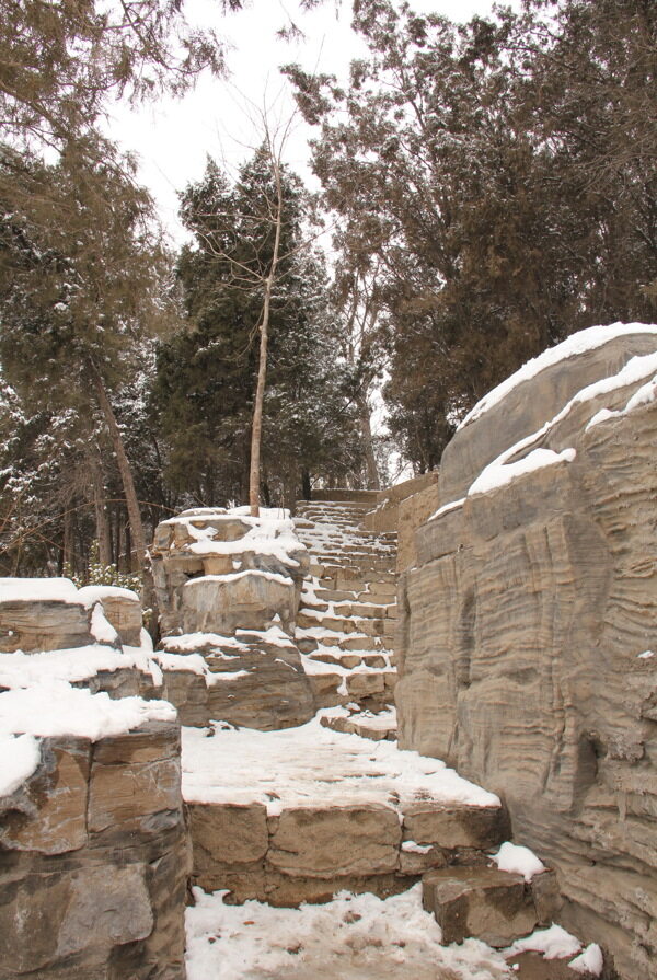 天津北宁公园雪景