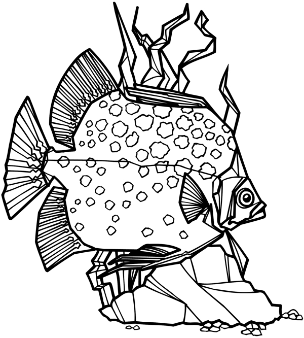 鱼水中动物矢量素材eps格式0065