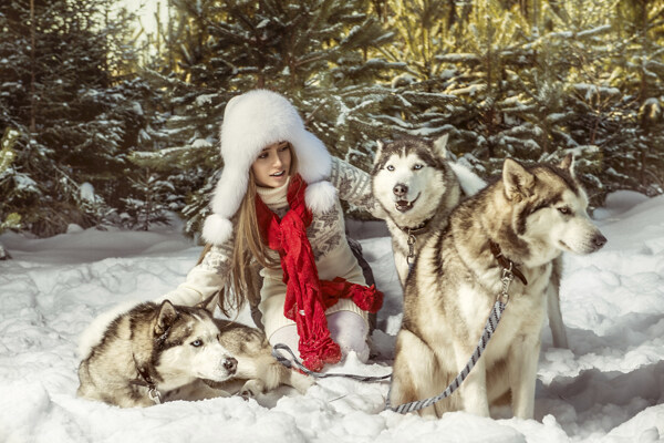 雪橇犬与美女图片