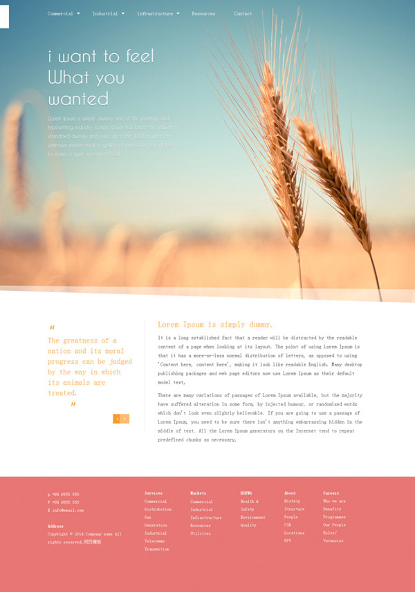 有机小麦农业网站
