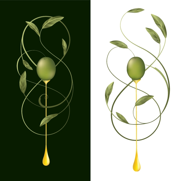 橄榄设计图片