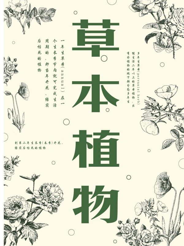 草本植物海报