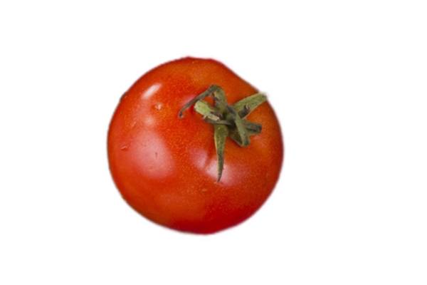 营养丰富的西红柿