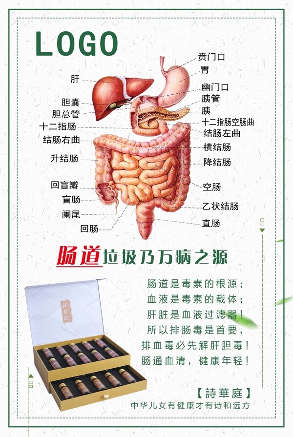 肠道排毒养护