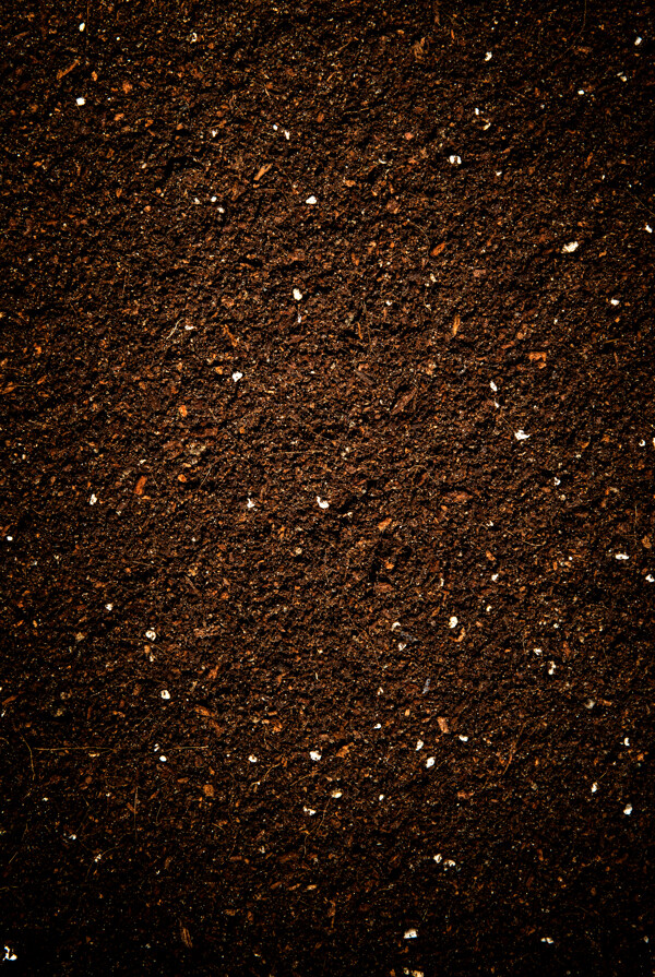 泥土土地褐色背景海报素材图片