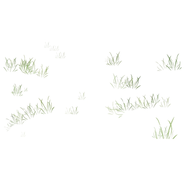 绿色植物小草