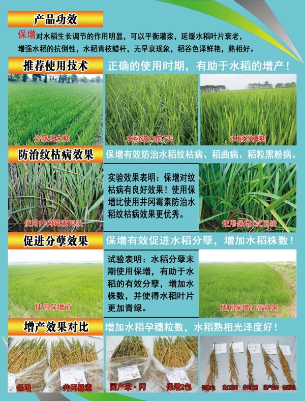 保增水稻单页