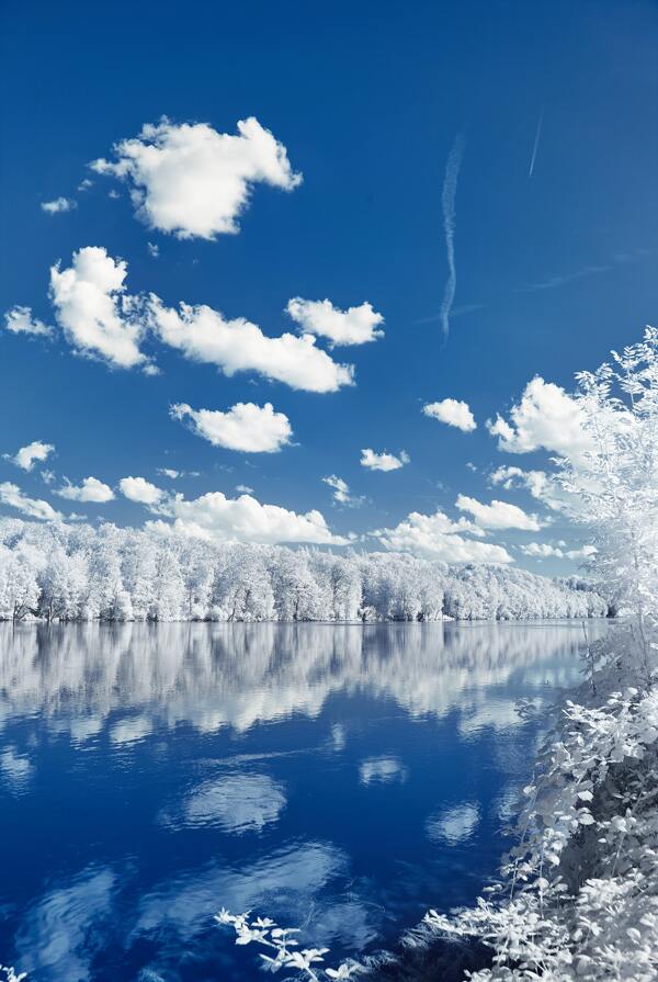 蓝天白云镜水冰树