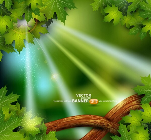 绿色森林阳光背景图