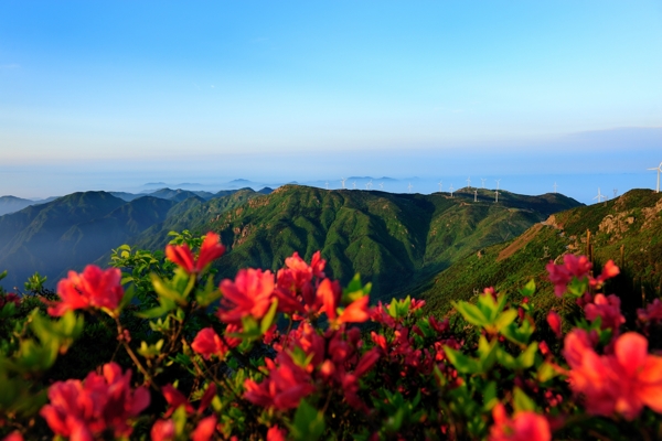 括苍山图片