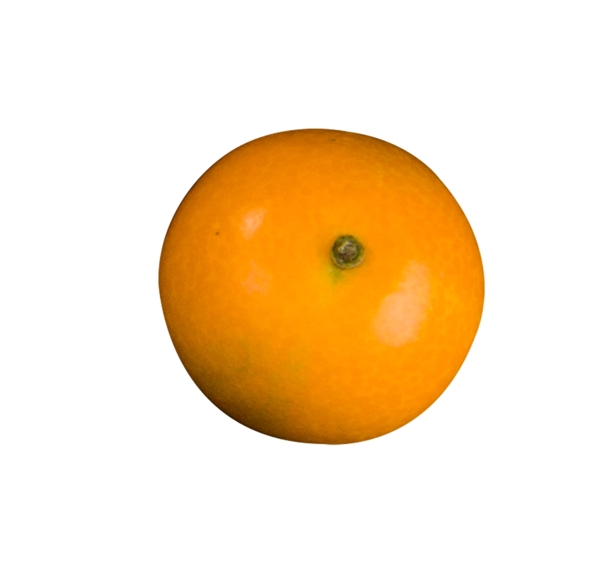 新鲜美味橘子矢量图