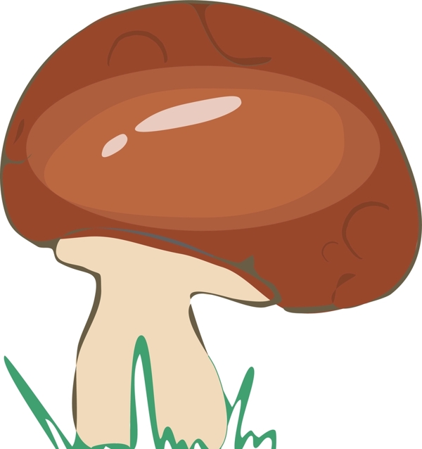 可爱的小蘑菇插画图片