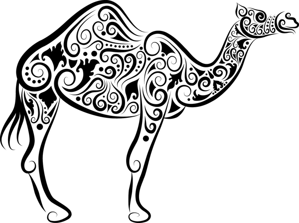 骆驼黑白花纹