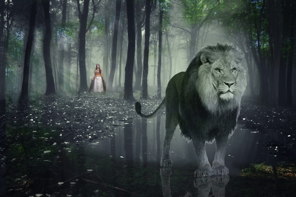 森林中的狮子与公主