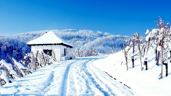 唯美雪景风景图片