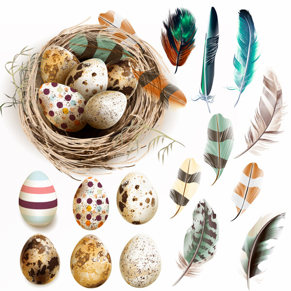 复活节彩蛋和羽毛的巢