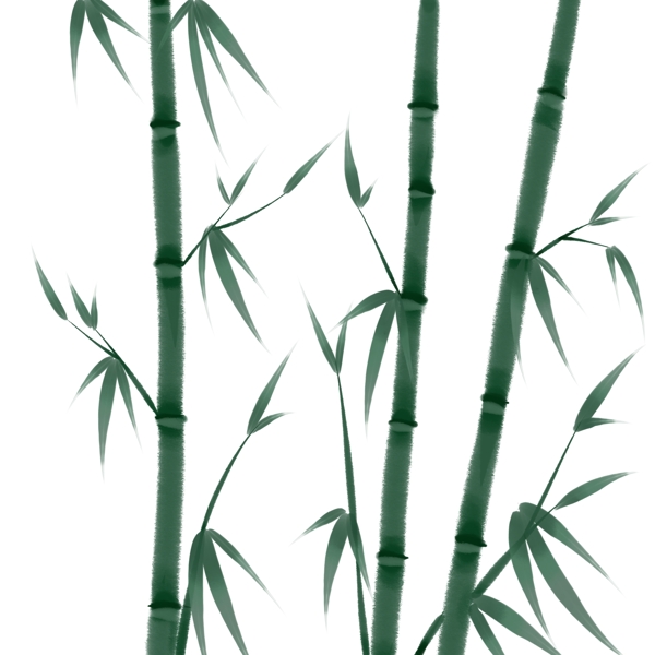 手绘中国风绿色的竹子