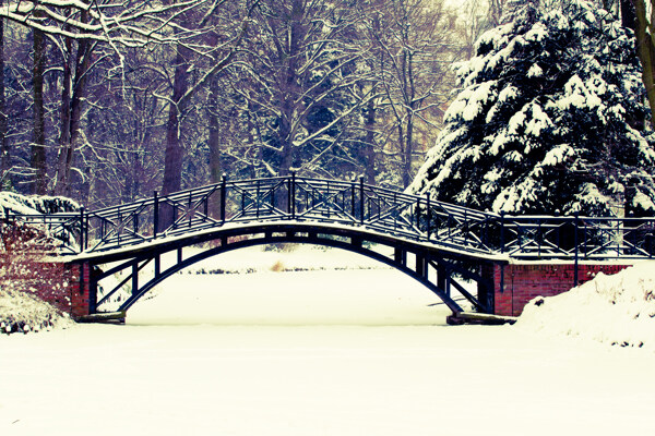 冬天树林拱桥风景