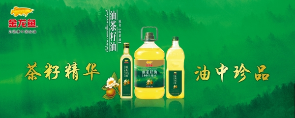 金龙鱼茶籽油广告