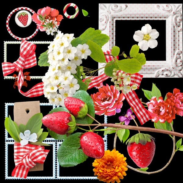 草莓花朵相框布艺图片