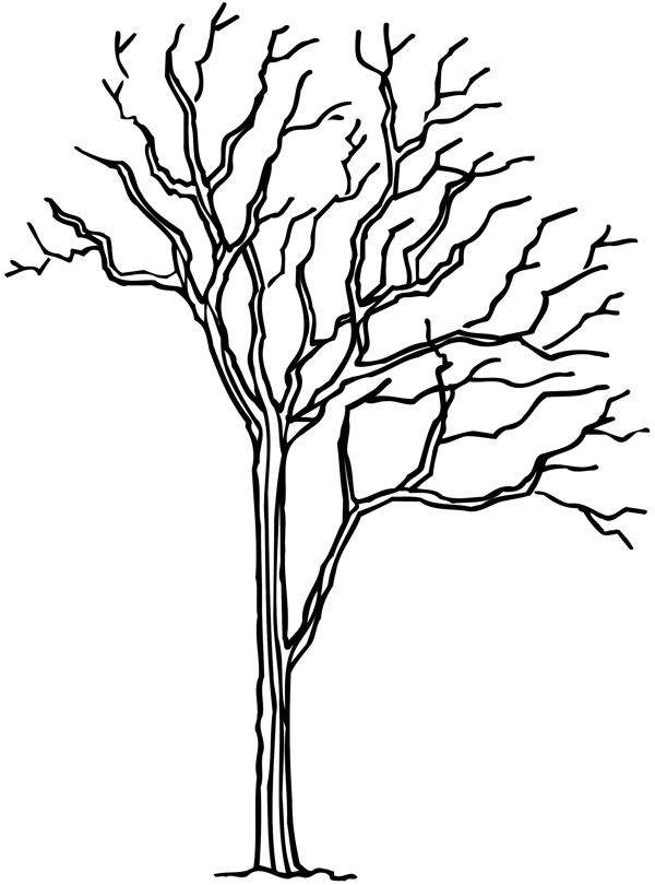 树木矢量素材eps格式0156