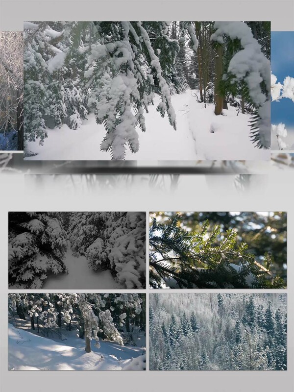 4K超清实拍唯美雪景视频素材