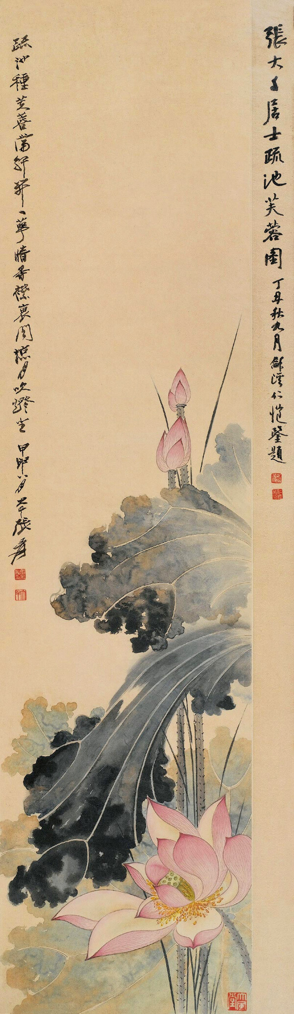 疏池芙蓉图图片